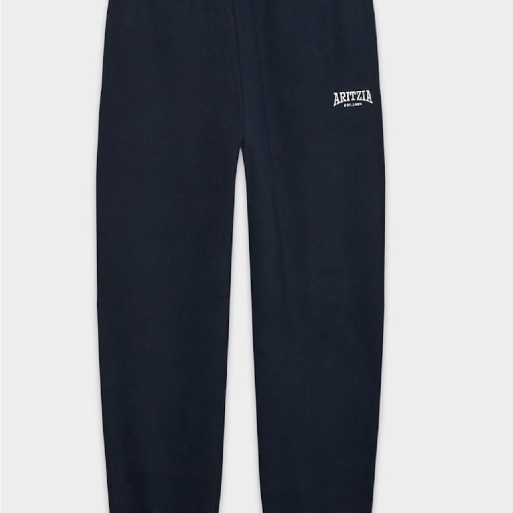 Aritzia Navy Blue Sweatpants
